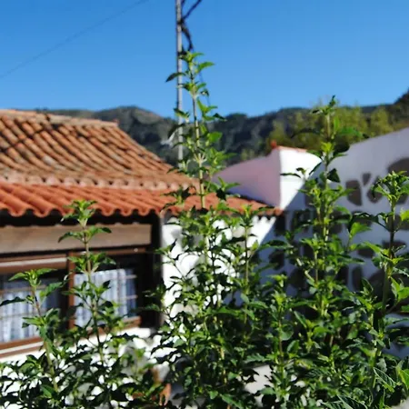 Ilusiones Holiday home Tejeda (Gran Canaria)